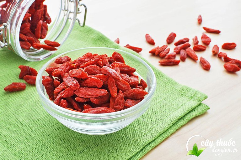 Tác dụng của câu kỷ tử làm đẹp da mặt